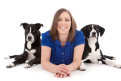 Request Quote: Whole Life Mobile Veterinary Care and Animal Acupuncture - San Diego, CA