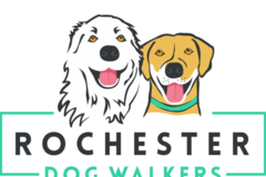 Request Quote: Rochester Dog Walkers and Pet Sitters - Rochester, NY