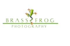 Request Quote: Brass Frog Photography - Pet Photographer - Vineland, NJ