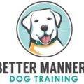 Better Manners Private Dog Training - Highlands Ranch, CO