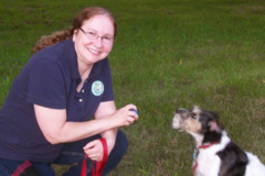 Request Quote: Canine Congeniality - Certified Private Dog Trainers - North Brookfield, MA