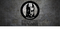 Request Quote: Iron Will In Home Private Dog Training Services - Covington, GA