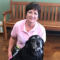 Wishes and Wags - Certified Dog Training - Fulshear, TX