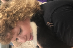 Request Quote: Three Cedars Reiki LLC - Animal Reiki Care - Nationwide