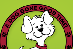 Request Quote: Camp Bow Wow - Pet Boarding - Elmwood Park, NJ