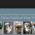 Happy Tails Positive Dog Training  - St. Petersburg, FL
