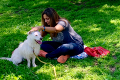Request Quote: Reiki My Pet - Holy Fire Animal Reiki Master - Nationwide
