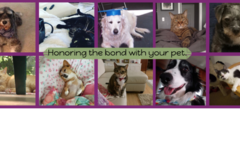 Request Quote: Helping Hands Pet Hospice - At Home Pet Euthanasia - Largo, FL