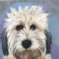 Meegan Boiros Fine Art - Pet Portrait Artist - Las Vegas, NV