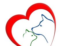 Request Quote: Sea Gate Veterinary Hospital - Vet Care - Huntington Beach, CA