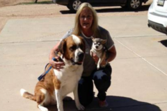Request Quote: Animal Lover Pet Sitting - Scottsdale, AZ