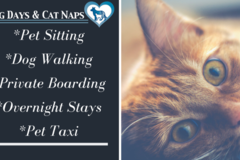 Request Quote: Dog Days & Cat Naps - Pet Sitting Services - Jacksonville, FL