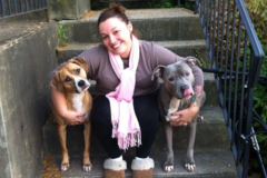 Request Quote: Mama On The Run Pet Care - In Home Pet Sitting - Manchester, NH