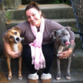 Mama On The Run Pet Care - In Home Pet Sitting - Manchester, NH