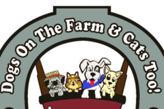 Request Quote: Dogs On The Farm & Cats Too! - Pet Boarding - Atlantic Highlands, NJ