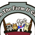 Dogs On The Farm & Cats Too! - Pet Boarding - Atlantic Highlands, NJ