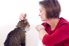 Request Quote: The Heart of Conversation - Animal Communicator - Nationwide