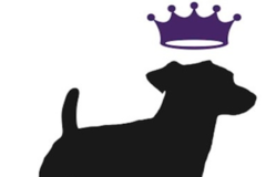Request Quote: Dogs Deserve It - Chicagoland's Top Dog Sitting Service - Chicago, IL