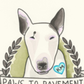 Paws to Pavement LA - In Home Dog Sitting Services - Los Angeles, CA