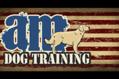 Request Quote: AM Dog Training - Burlington, NJ