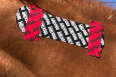 Request Quote: Prairiewind Productions - Pet Massage and Reiki - Okotoks, AB