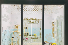 Request Quote: Pounce Hawaii- Luxury Cat Hotel - Pet Boarding - Honolulu, HI