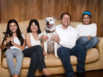 Family and their dogs