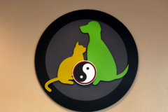 Request Quote: Veterinary Holistic Center - Animal Acupuncture - North Springfield, VA