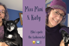 Request Quote: Cultivate Harmony Inside & Out with Katy - Animal Reiki Care - Nationwide