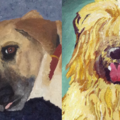 Your Pet Deserves A Custom Pet Portrait - Santa Monica, CA