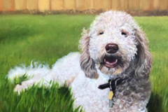 Request Quote: Pet Paintings and Drawings - Etsy Portrait Artist - Nationwide