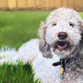 Pet Paintings and Drawings - Etsy Portrait Artist - Nationwide