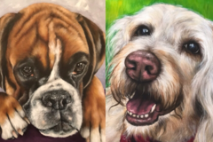 Request Quote: Created4creating - Pet Portrait Artist - Nationwide
