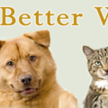 A Better Way Pet Sitting - Burlington, MA