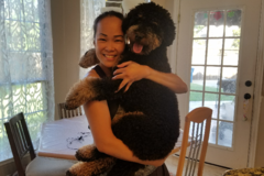Request Quote: My Doggies World Coppell Crate Free Dog Boarding - Coppell, TX