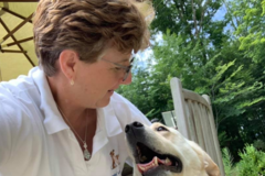 Request Quote: Bailey's Bark Pet Care - In Home Pet Sitting  - Wickliffe, OH