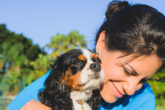 Request Quote: Equipaws Pet Services: Dog Walkers & Pet Sitters  - South Miami, FL