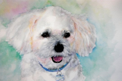 Request Quote: Carolyn Gray Watercolors - Etsy Pet Portrait Artist - Nationwide