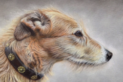 Request Quote: Simon Royer - Pet Portrait Artist - Penpont, BreconLDEU