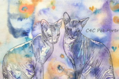 Request Quote: C4C Gold leaf & Watercolour Pet Portraits - Devon, UK