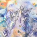 C4C Gold leaf & Watercolour Pet Portraits - Devon, UK