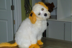 Request Quote: Pet Pizazz Salon - Mobile Grooming Spa Services - Conway, SC