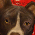 Pet Portraits by Corneille - Nationwide