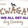 Can We All Get Along Private Dog Training LLC - Tampa, FL