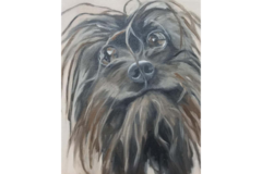 Request Quote: Sue's Pet Portraits - Nationwide