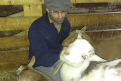 Request Quote: Mystical Flame Healing - Animal Reiki Care - Nationwide