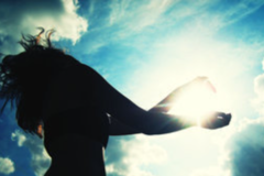 Request Quote: Freckles Farm Reiki and Yoga - Animal Reiki Homeopathy - Nationwide