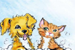 Request Quote: Cute Cuts Pet Grooming - Largo, FL