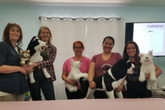Request Quote: Pet Tech First Aid  & CPR Certification  - Anaheim, CA - Nationwide