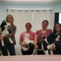 Pet Tech First Aid  & CPR Certification  - Anaheim, CA - Nationwide